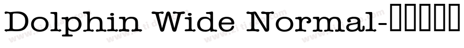 Dolphin Wide Normal字体转换